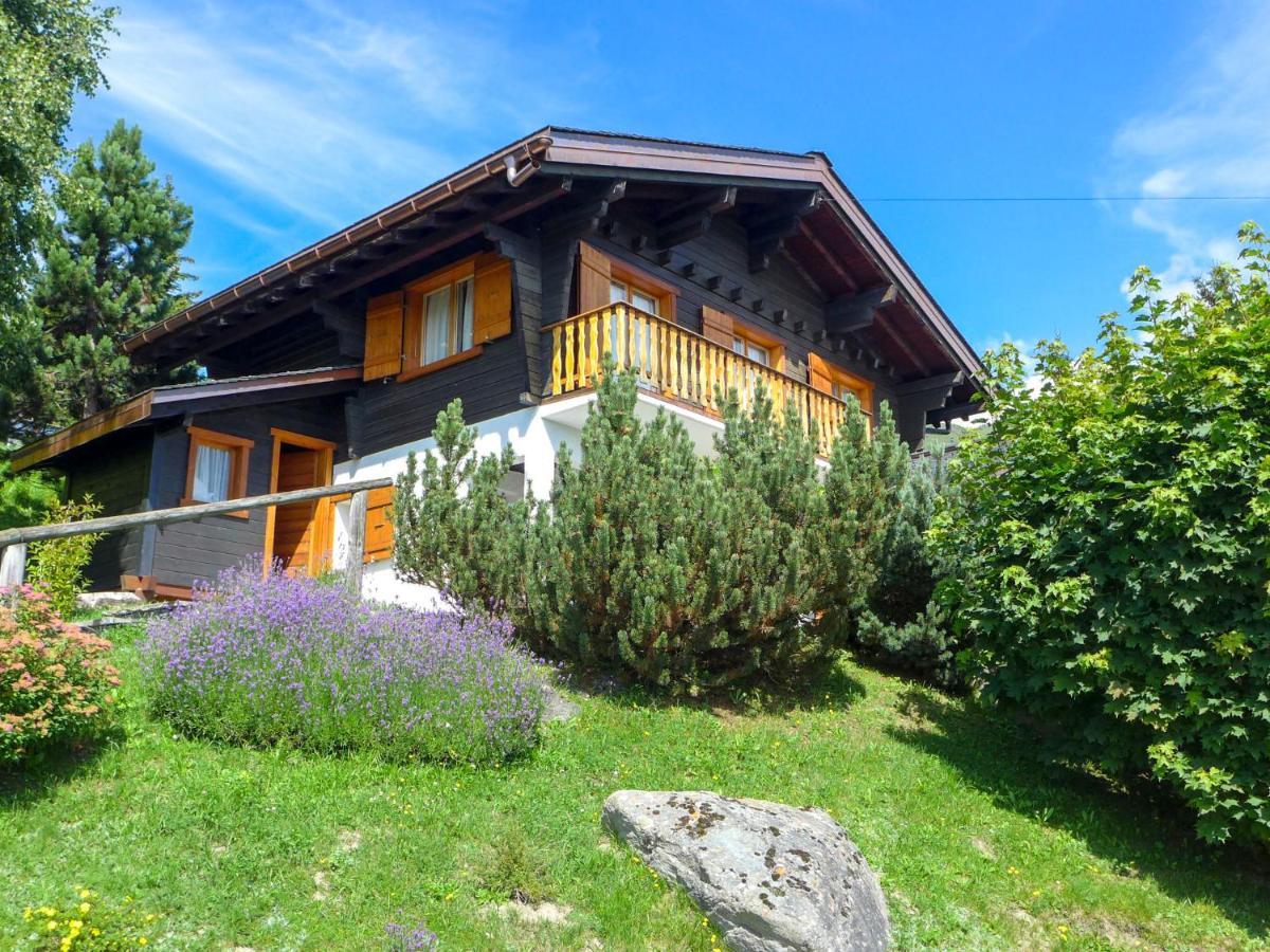 Chalet Biquinou By Interhome ヴェルビエール エクステリア 写真